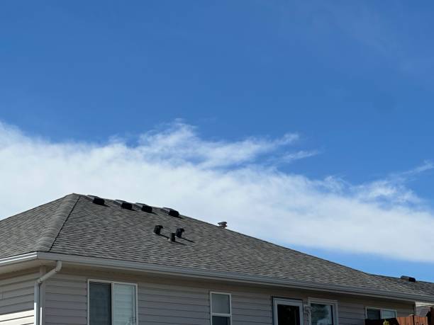 Best Roof Coating and Sealing  in Maple Lake, MN